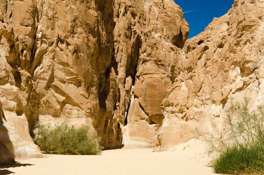 desert canyon with high stone cliffs and green plants