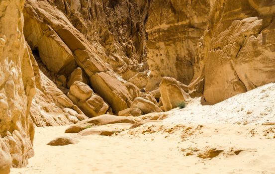 high rocky mountains and green bush in the canyon in Egypt Dahab