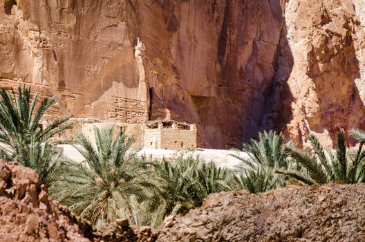 dwelling bedouin in an oasis in the desert among the mountains in Egypt Dahab