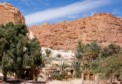 Bedouin village in an oasis in the desert among the mountains in Egypt Dahab