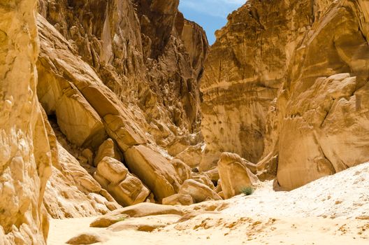 high rocky mountains and green bush in the canyon in Egypt Dahab