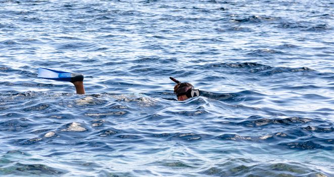 young girl in a swimming mask and snorkeling swims in the sea in Egypt Dahab