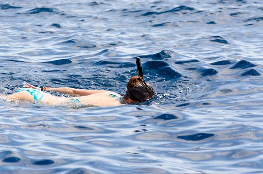 young girl in a swimming mask and with a tube swims in the sea in Egypt Dahab