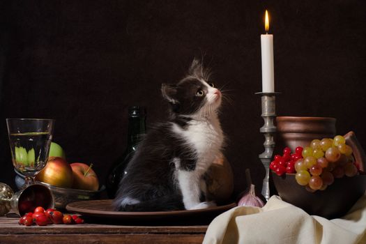 still life of black and white kitten sitting in a clay plate and looking at a burning candle on dark background