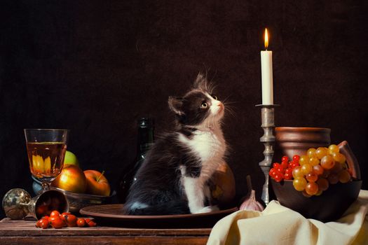 still life of black and white kitten sitting in a clay plate and looking at a burning candle on dark background