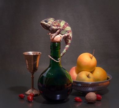 still life with a striped female Yemeni chameleon sitting on a green bottle next to apples and melchior glass