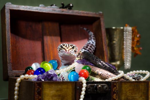 bright spotted eublefar sitting on a pile of jewelry in a decorative chest