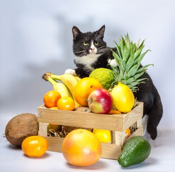 black and white cat guards a wooden box with exotic fruit