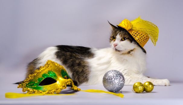 wicked cat in a yellow carnival hat with sequins bow and a feather next to a mask and Christmas balls