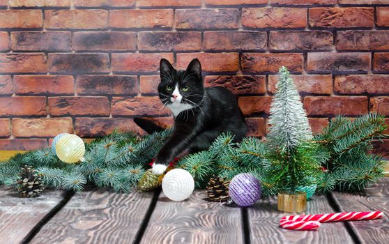 black and white kitten on the background of a brick wall and Christmas tree