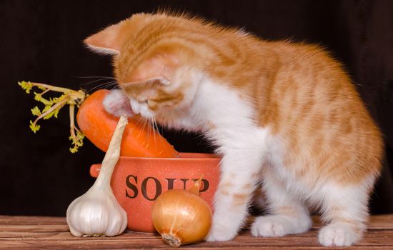 small red tabby kitten is sitting on the rough wooden boards of the table next to an orange bowl for soup and carrots with a green top, onion and garlic head on a dark background