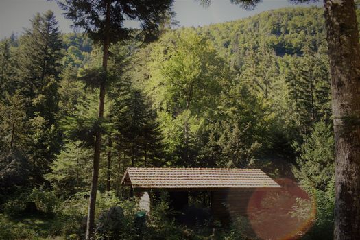 forest and mountain setting on french swiss borders