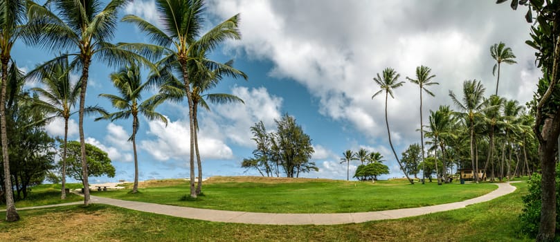 Paradisiac place in Hawaii. Grass beatch with green palms and cloudy blue sky