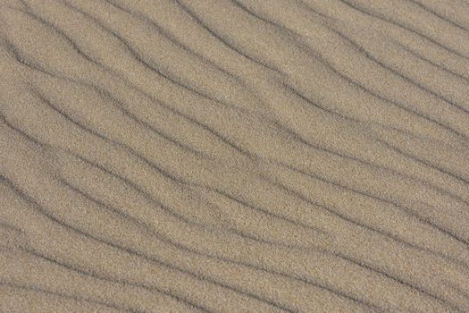 Undisturbed flowing ripples in soft beach sand, Mossel Bay, South Africa