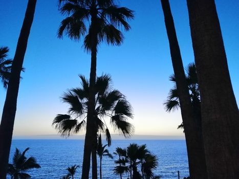 Tropical beach with palm trees in las Americas, Tenerife,Canary Islands. Summer vacation or travel concept.