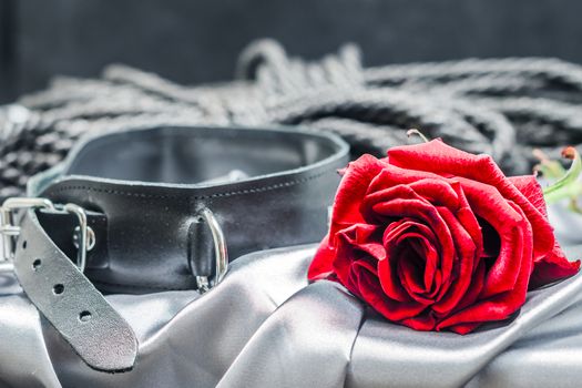 bdsm still life, black human collar, scarlet rose, hank of black rope for bondage (shibari) on a gray sheet on a black background