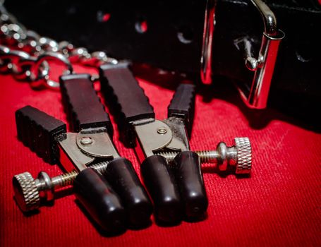 bdsm accessory human collar and accessory nipple clasp with metal chain on a red background close-up