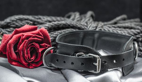 bdsm still life, black human collar, scarlet rose, hank of black rope for shibari on a gray sheet on a black background