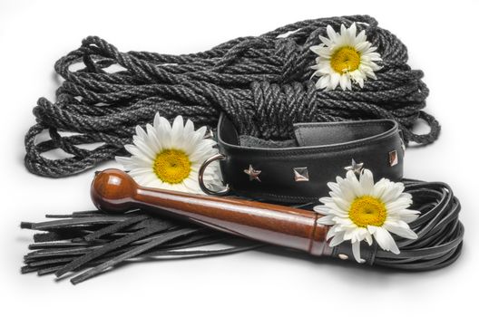 bdsm leather lash and black collar with shibari rope and yellow daisy flowers on a white background