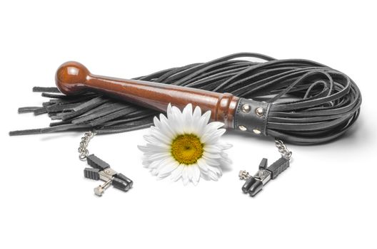 black leather bdsm lash with clips and yellow daisy flower on a white background
