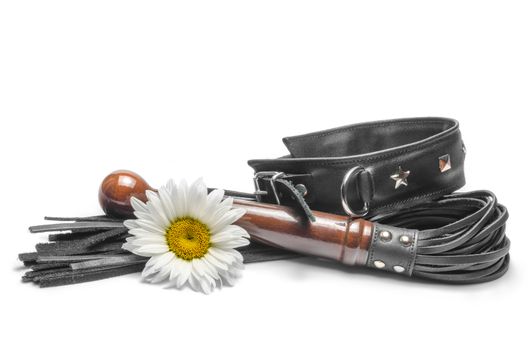 bdsm leather lash and black collar with yellow daisy flowers on a white background