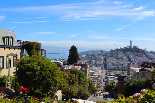 Lombard street in San Francisco United State.