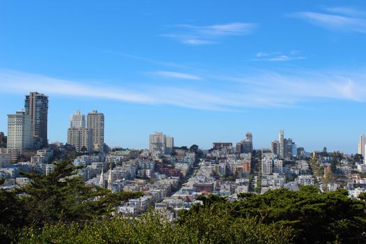 Lombard street in San Francisco United State.