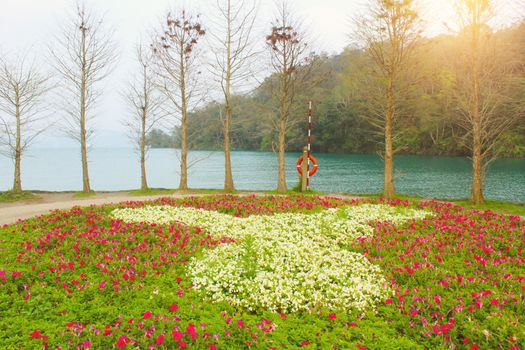 nature flowers and trees in the forest at the sun moon lake of Taipei, Taiwan .