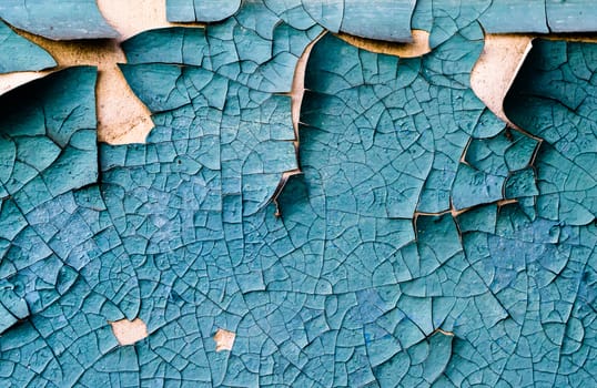 wall texture with cracked peeling blue paint