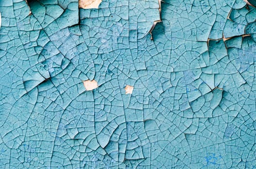 wall texture with cracked peeling blue paint