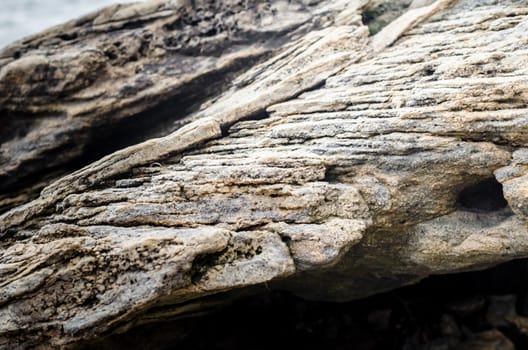 stone rock texture