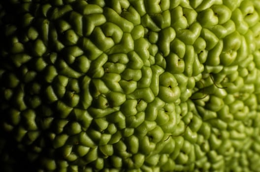 texture of green fruit rind macro closeup