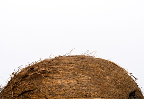 coconut on white background macro closeup
