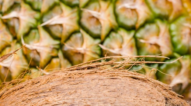 coconut slice on pineapple background closeup macro