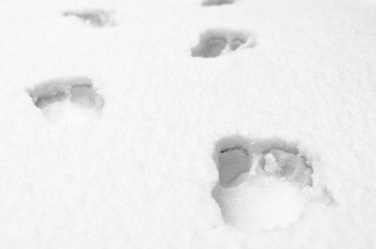 footprints of bare human feet on white snow close up