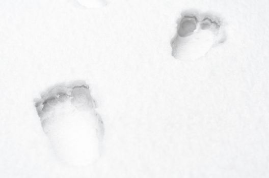 footprints of bare human feet on white snow close up
