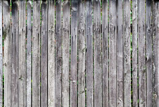texture old fence of wooden boards