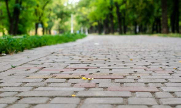 walkway with a tile in the park close up
