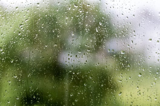 texture of a drop of rain on a glass on a background of green leaves of a tree