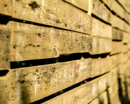 wood surface texture