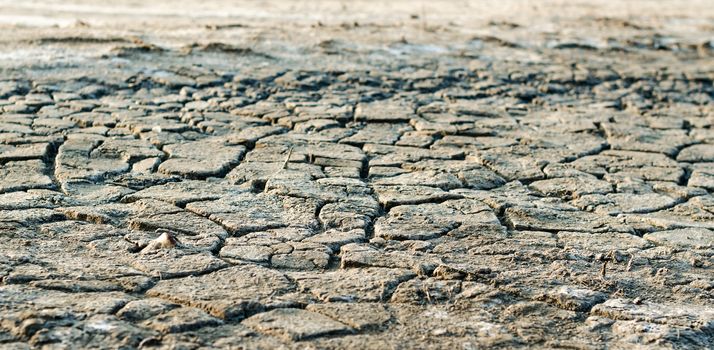 cracked earth texture
