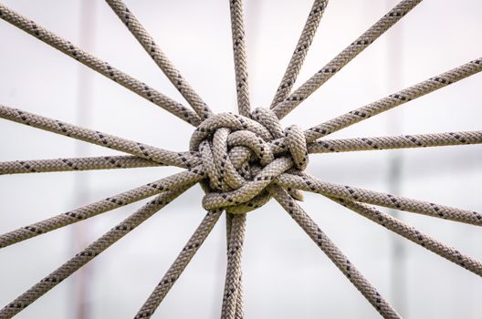 many ropes and one big knot closeup