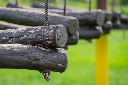 old wooden logs on a rope on a green background closeup