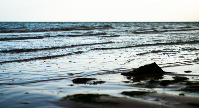 small waves on the sea surface