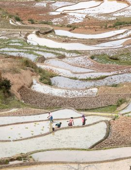 Madagascar on july 27, 2019 - People working on a field in Madagascar on july 27, 2019.