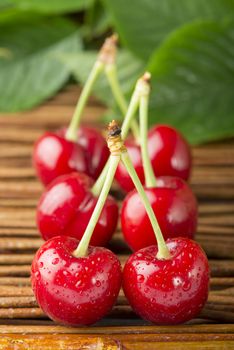 Cherries and branch with leaves. Studio shot