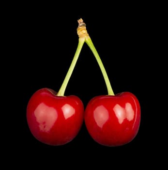 Two Cherries black isolated studio shot