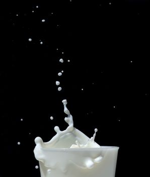 Splashing milk on black background. Splashes of milk