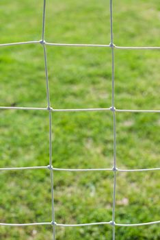 Football net and green grass background