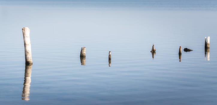 wooden posts in calm lake water in the afternoon autumn
